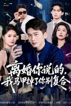 离婚你说的，我马甲掉了你别复合