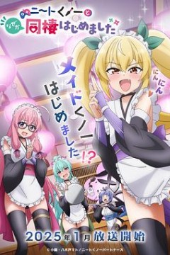 我与尼特女忍者的莫名同居生活