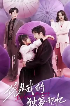 你是我的独家记忆