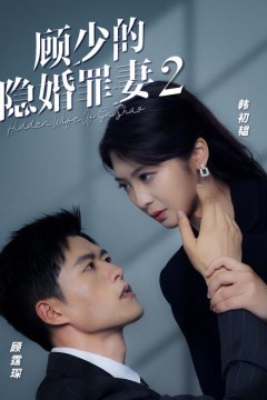 顾少的隐婚罪妻2