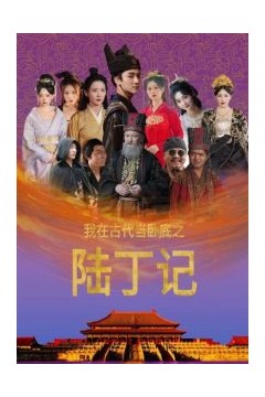 我在古代当卧底之陆丁记