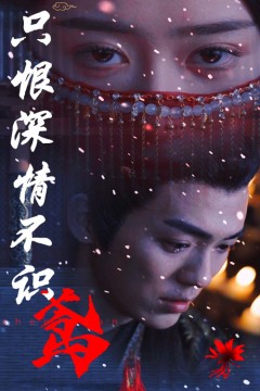 只恨深情不识鸢