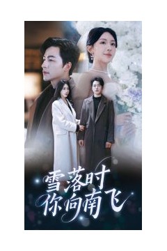 雪落时你向南飞