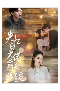 失忆后大佬前夫追着宠