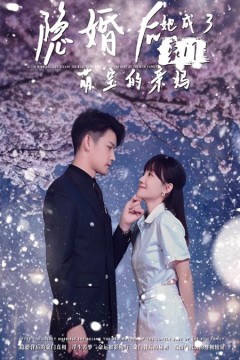 隐婚后，她成了豪门萌宝的亲妈