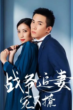 战少追妻宠又撩