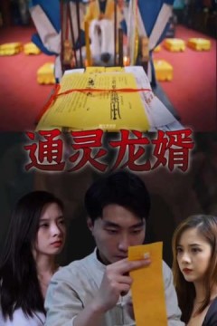通灵龙婿