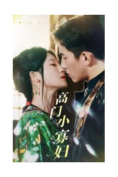 高门小寡妇