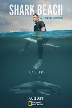 克里斯·海姆斯沃斯的鲨滩奇遇