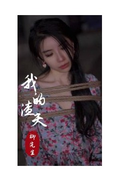 我的渣夫柳先生