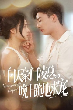 白天豪门凌总晚上跪地求宠