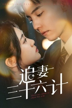 追妻三十六计