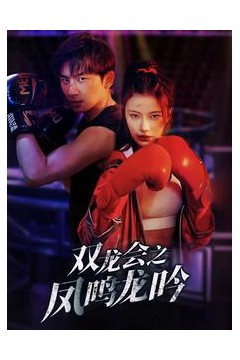 双龙会之凤鸣龙吟