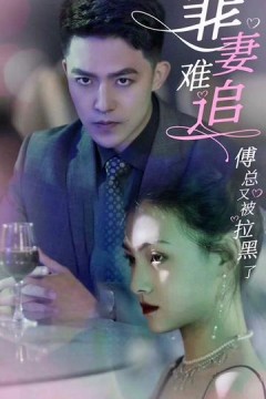 罪妻难追傅总又被拉黑了