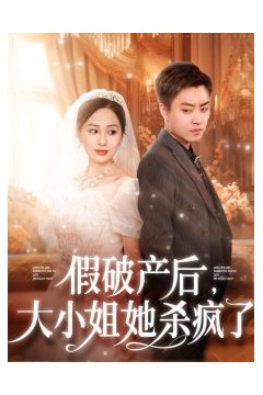 假破产后大小姐她杀疯了