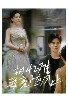 相忆难爱意随风止