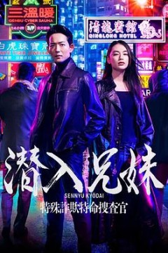 潜入兄妹特殊诈欺特命搜查官