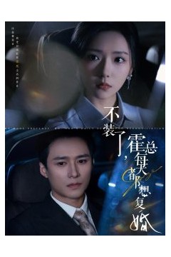 不装了霍总每天都想复婚