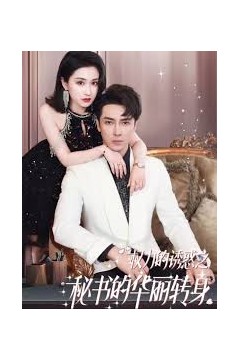 权利的诱惑之秘书的华丽转身