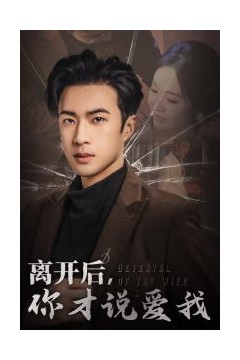 离开后你才说爱我