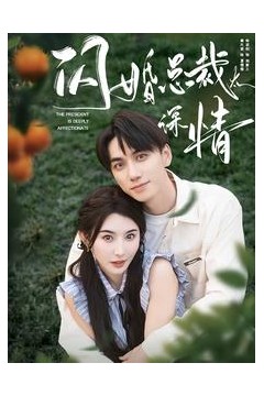 闪婚总裁太深情