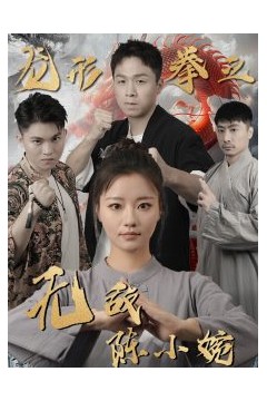 龙形拳之无敌陈小婉