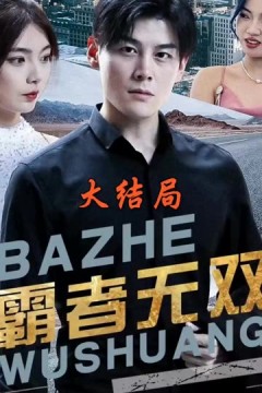 霸者无双&护国神帅