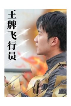 王牌飞行员