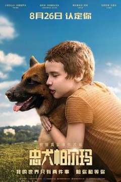 忠犬帕尔玛国语