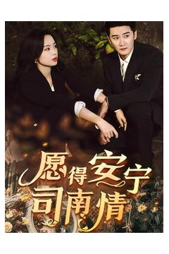 愿得安宁司南情