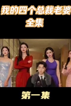 我的四个美女总裁老婆