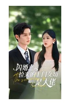 闪婚之捡来的上门女婿是大佬