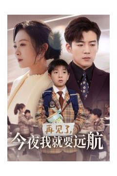 再见了今夜我就要远航