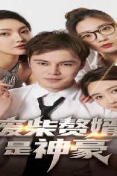 废柴赘婿是神豪