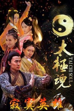 太极魂之寂寞英雄