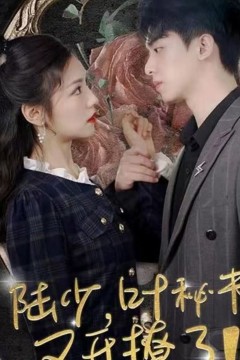 陆少叶秘书又开撩了