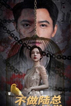 掌中玩物不做陆总金丝雀