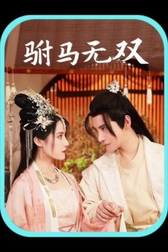 驸马无双