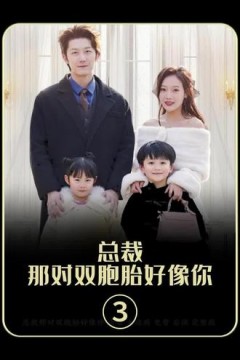 总裁，那对双胞胎好像你