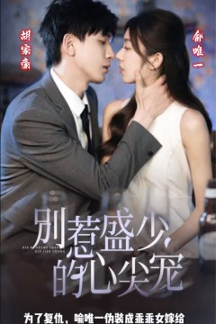 别惹盛少的心尖宠