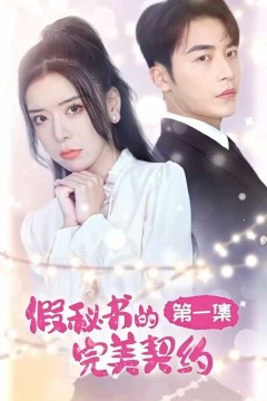 假秘书的完美契约