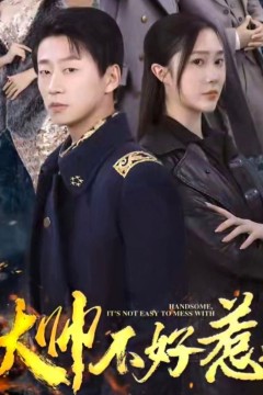 大帅不好惹