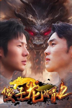 傻子龙婿第二部