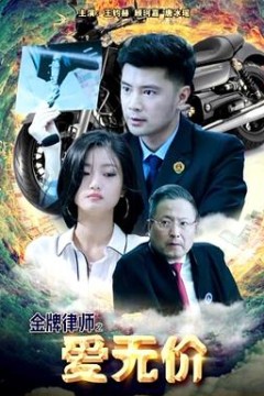 金牌律师之爱无价