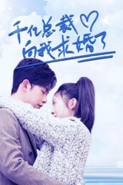 千亿总裁向我求婚了