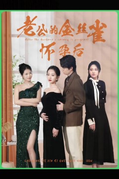 老公的金丝雀怀孕后