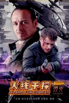 火线干探之毁灭国语