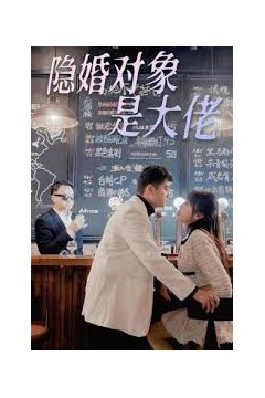 隐婚对象是大佬