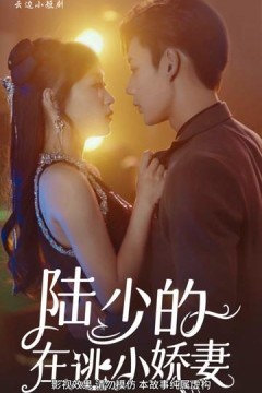 陆少的娇妻野翻了