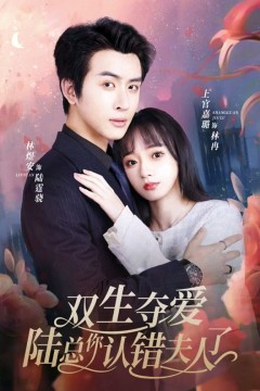 双生夺爱，陆总你认错夫人了